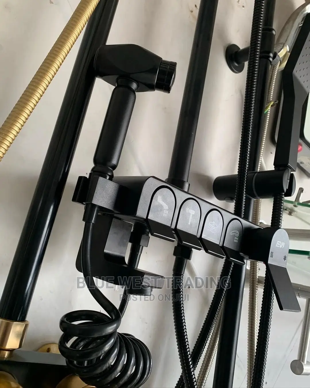 4 in 1 Telephone Shower