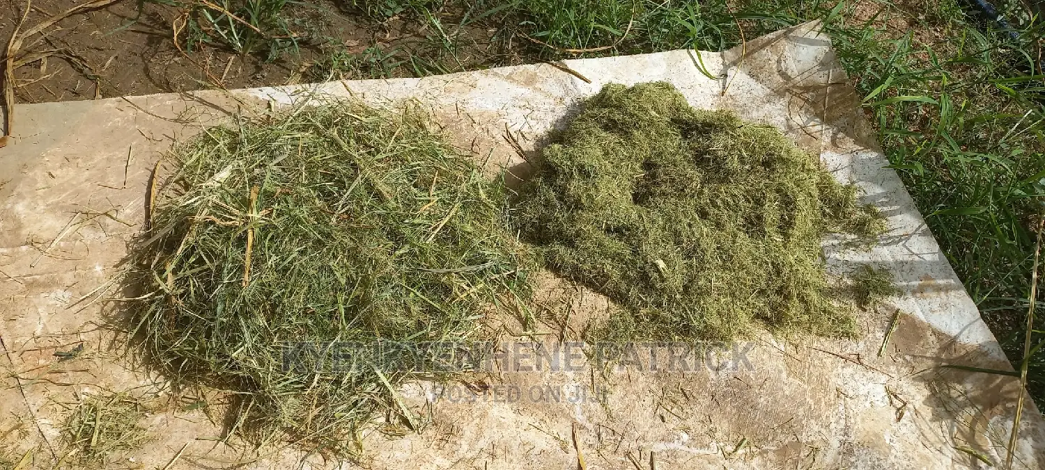 Formulated Grass Pellets for Rabbits and Others