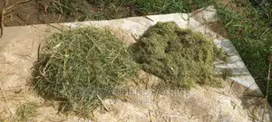 Formulated Grass Pellets for Rabbits and Others