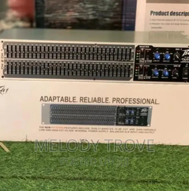Peavey Dual Band Graphic Equalizer