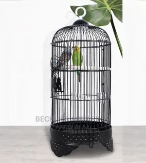 Metallic Parrot Birdcage