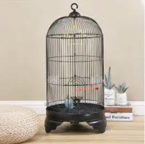 Metallic Parrot Birdcage