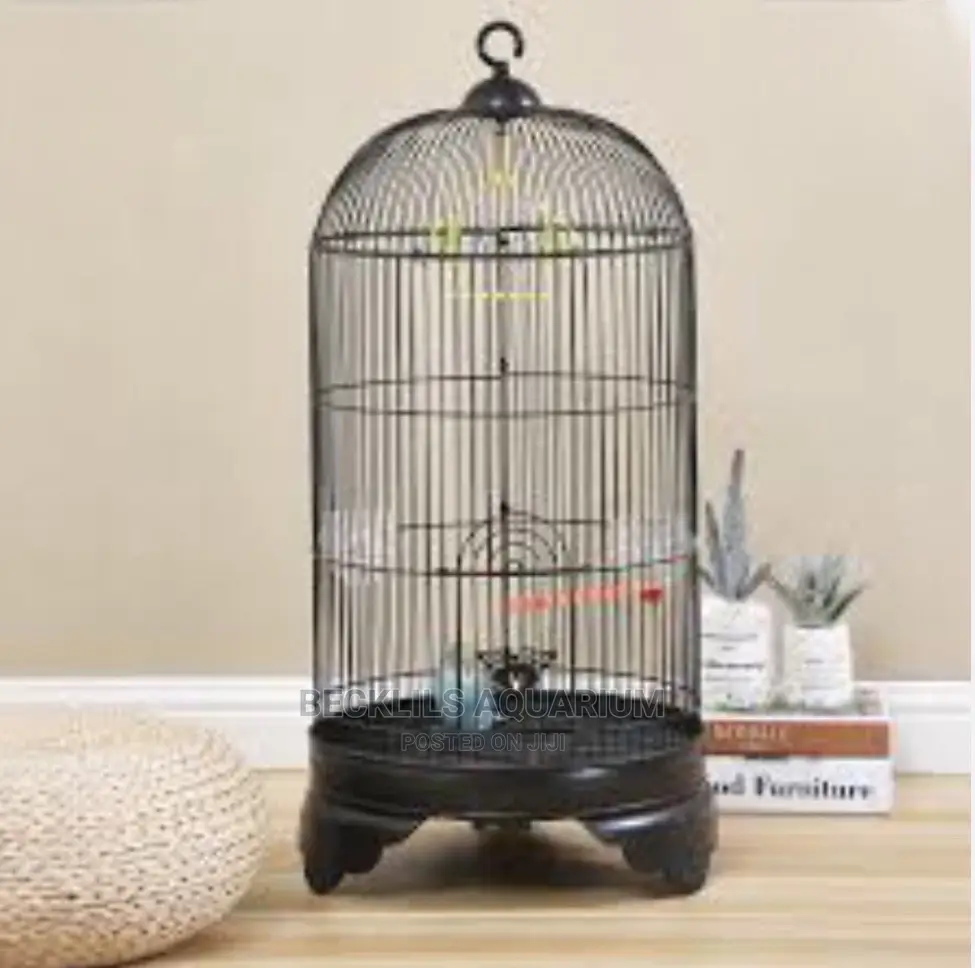 Metallic Parrot Birdcage
