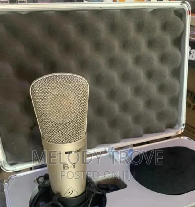 Behringer B1 Large-Diaphragm Studio Condenser Microphone