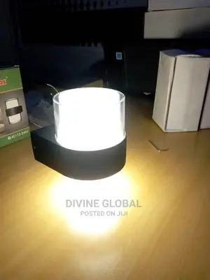 LX Luxury LED Wall Lamp Outdoor Indoor Use