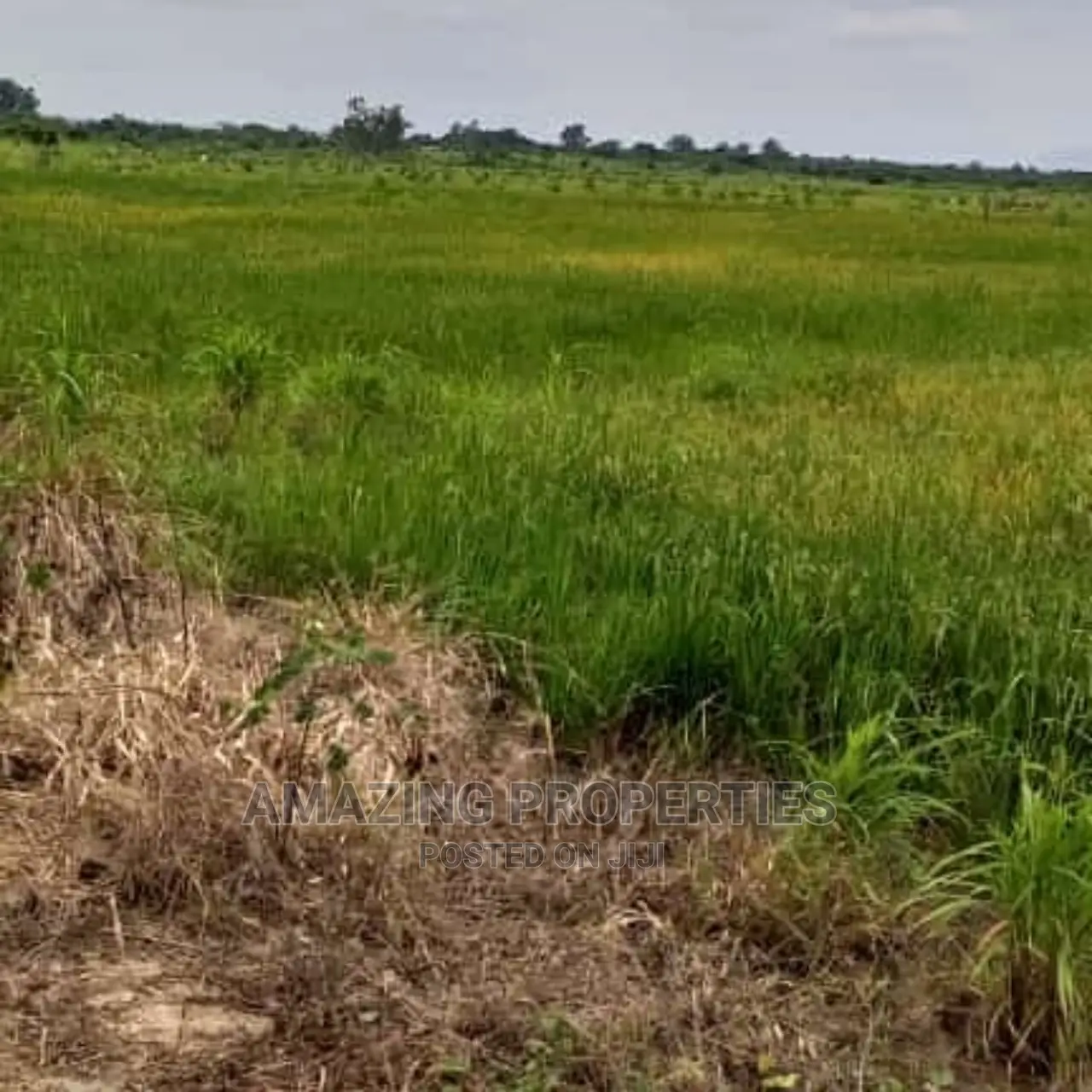 6 Plots of Land at Oyibi