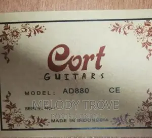 Cort Semi-Acoustic Guitar