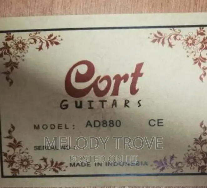 Cort Semi-Acoustic Guitar