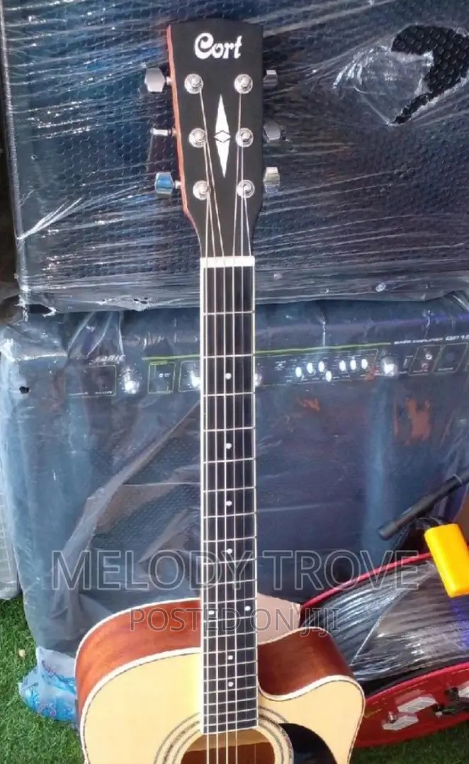 Cort Semi-Acoustic Guitar