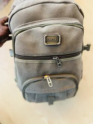 Quality Back Bags at Cool Price