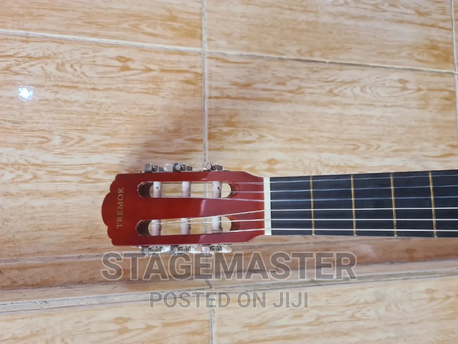 Acoustic Guitar