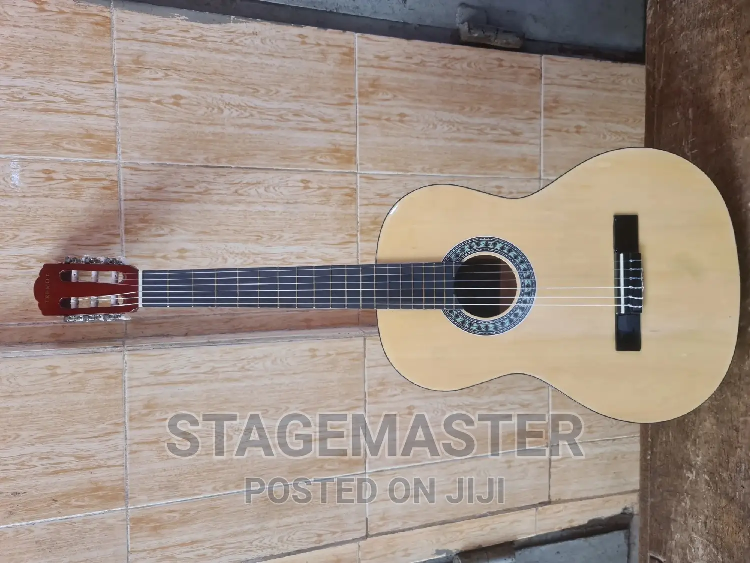 Acoustic Guitar