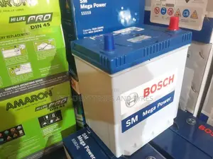 11 Plates Bosch Batteries