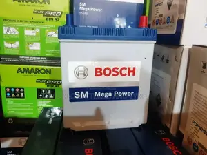 11 Plates Bosch Batteries