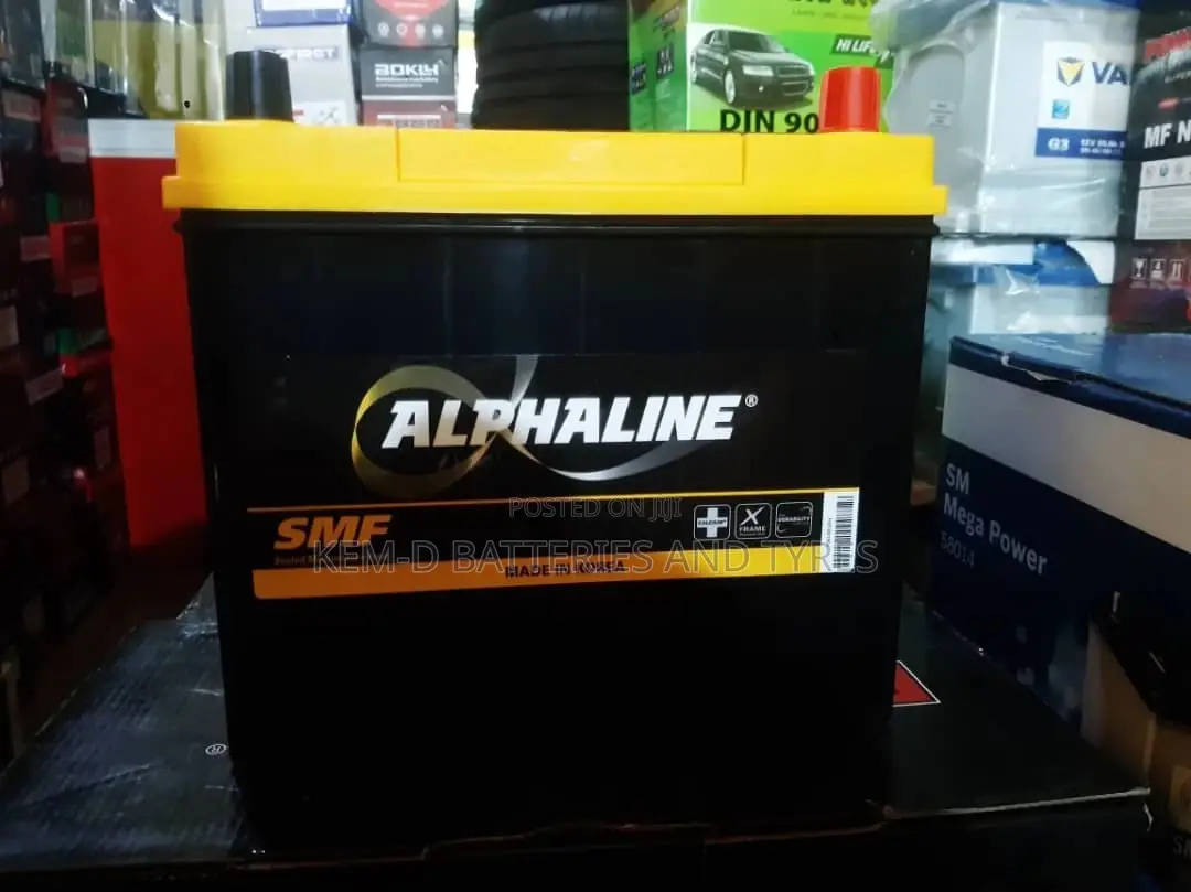 13 Plates Alphaline Batteries- 12V 45AH