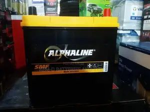 13 Plates Alphaline Batteries- 12V 45AH