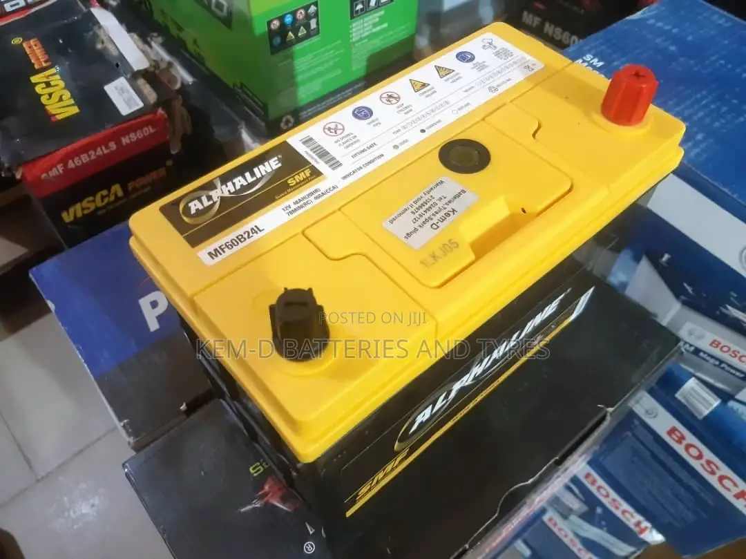 13 Plates Alphaline Batteries- 12V 45AH