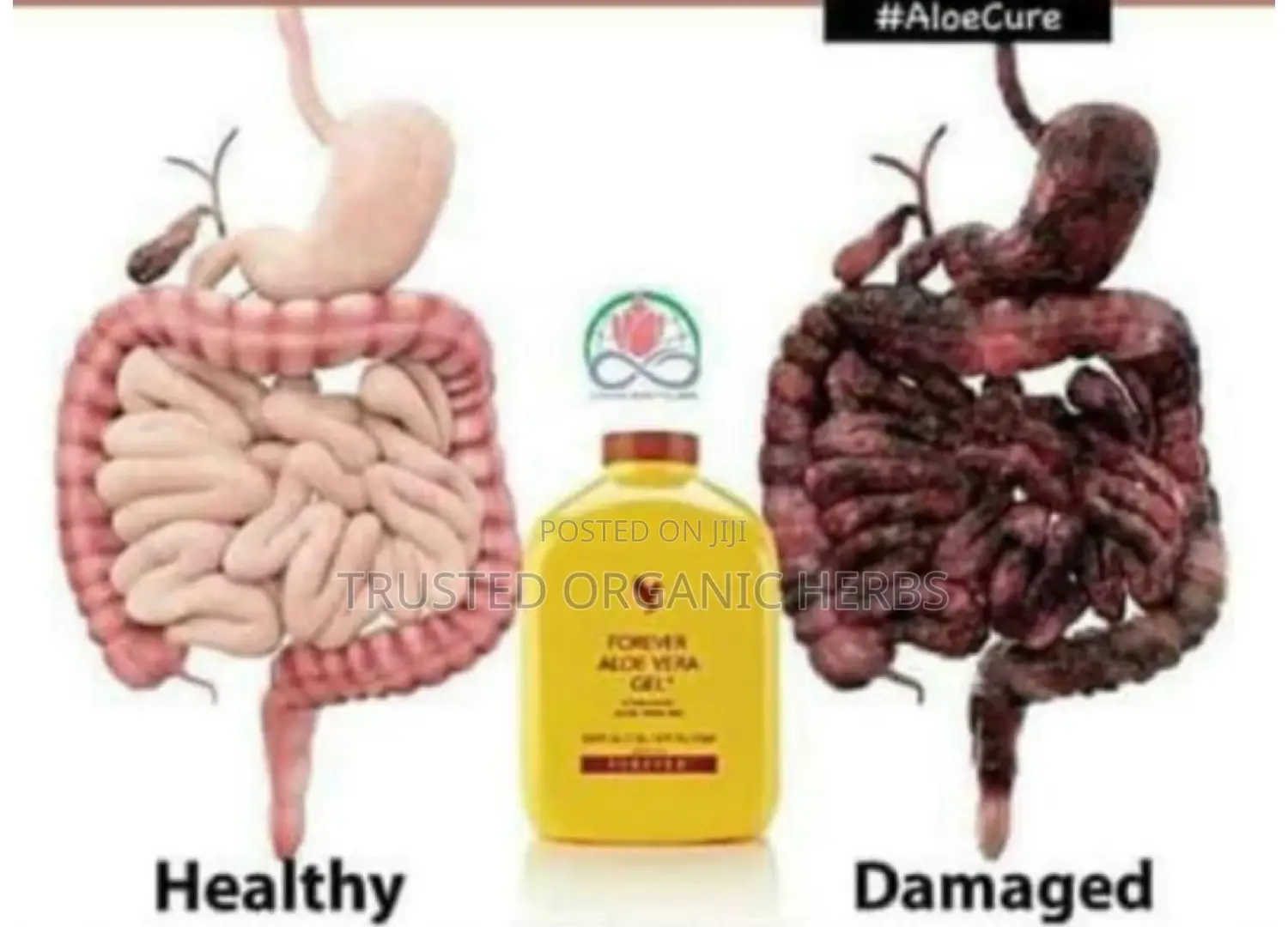 Natural Detox Pack