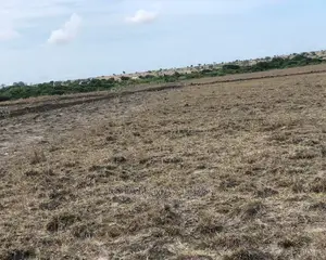 Flat Exclusive Lands