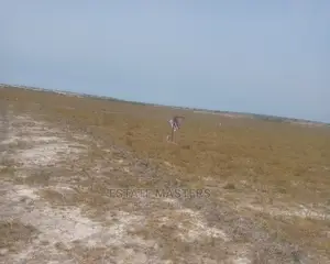 Secure a Land With Style