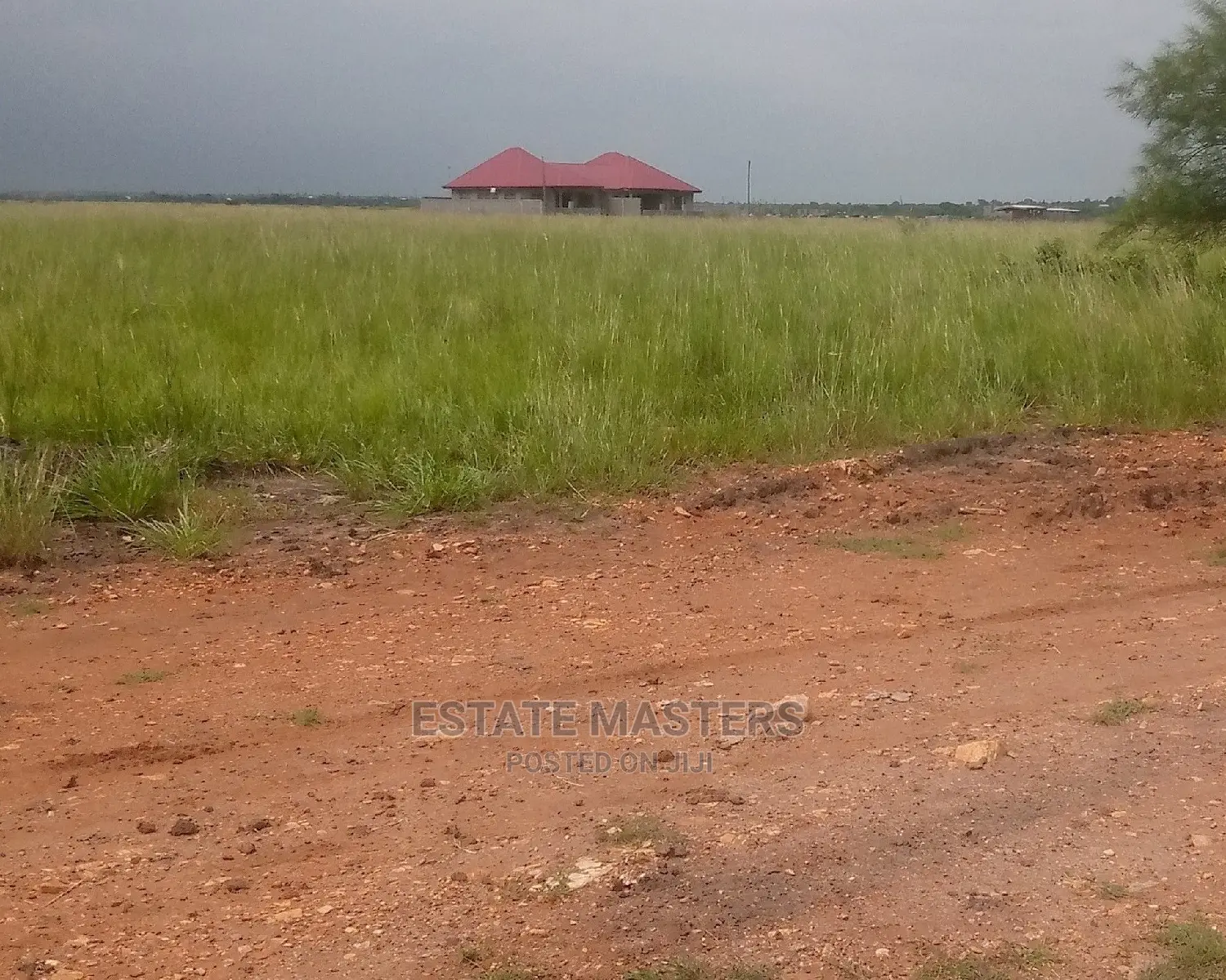 Special Estate Lands: Affordable