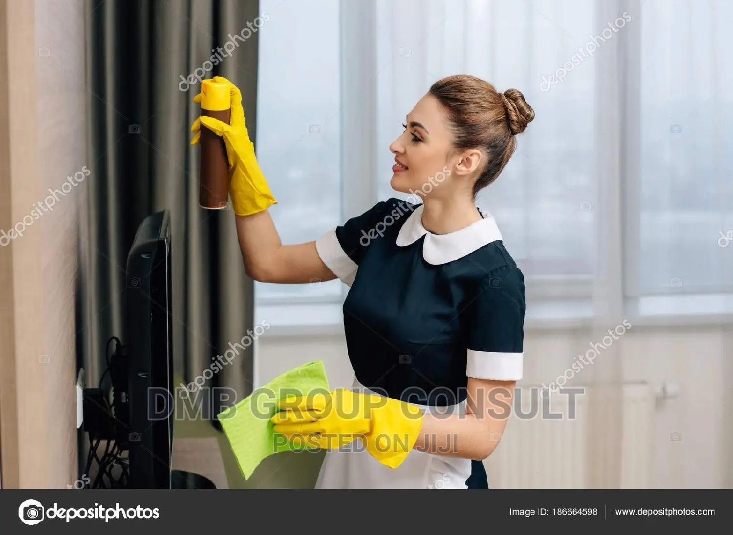 House 2 House Cleaners