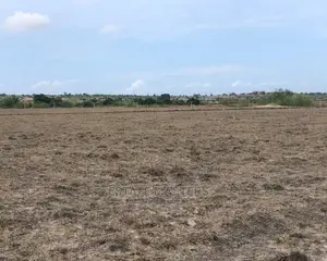 Magnanimous and Special Estate Lands