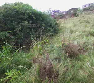 4 Plots of Land at Community 25(Casidle Estate)