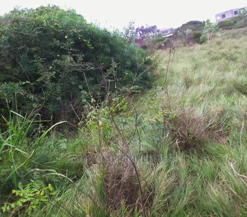 4 Plots of Land at Community 25(Casidle Estate)