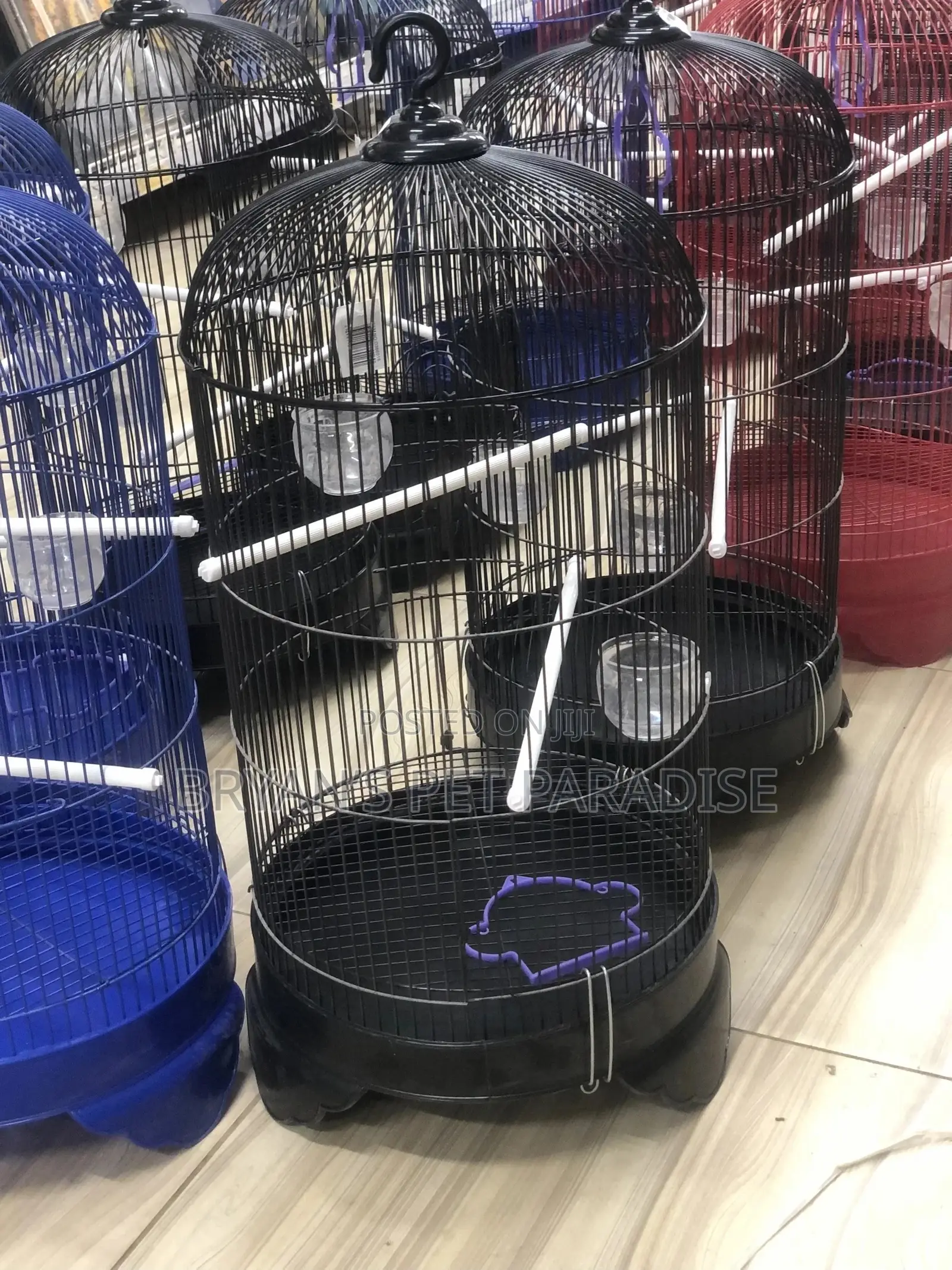 American Parrot Cages