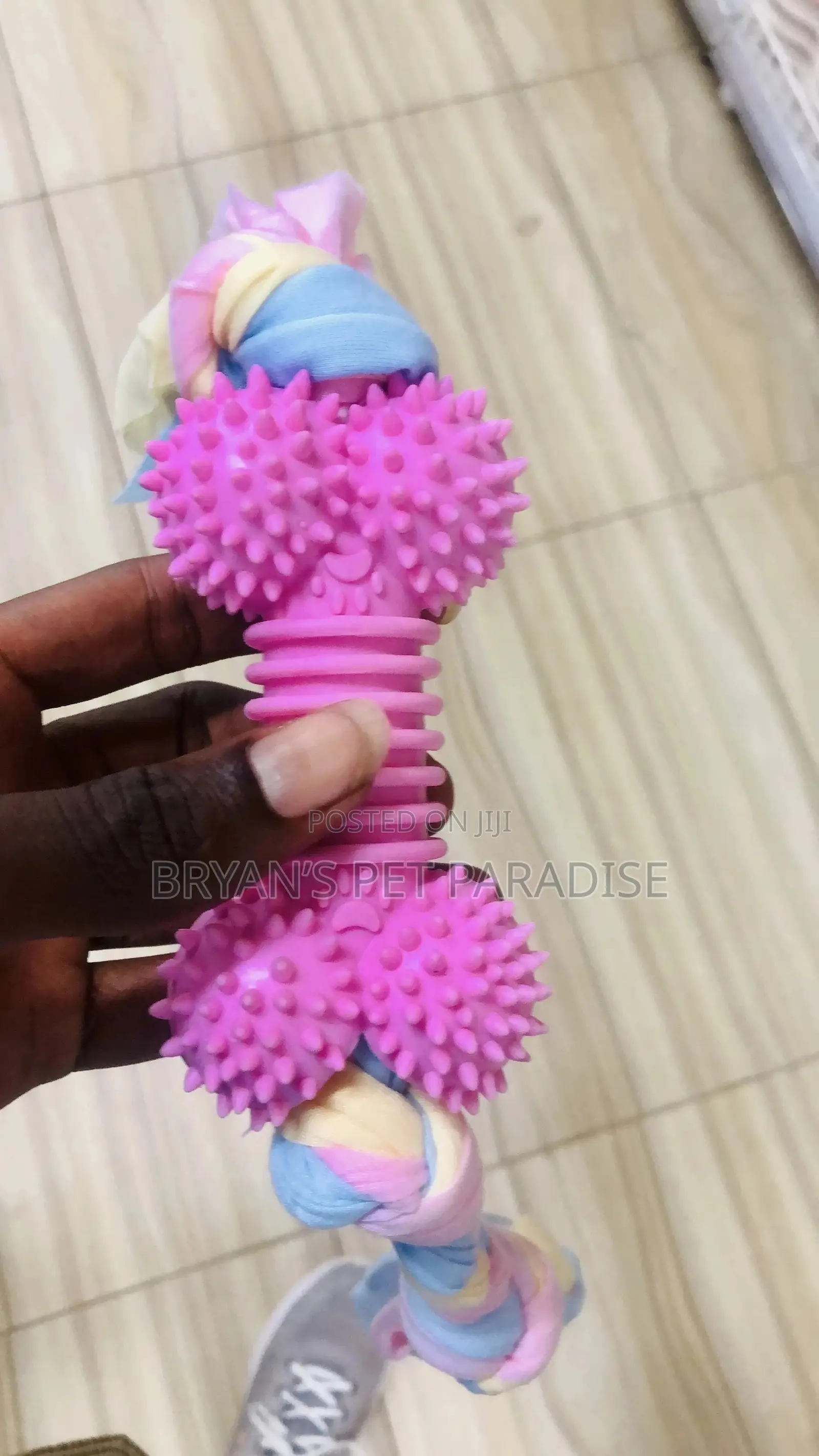 Pet Toys Available