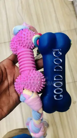 Pet Toys Available