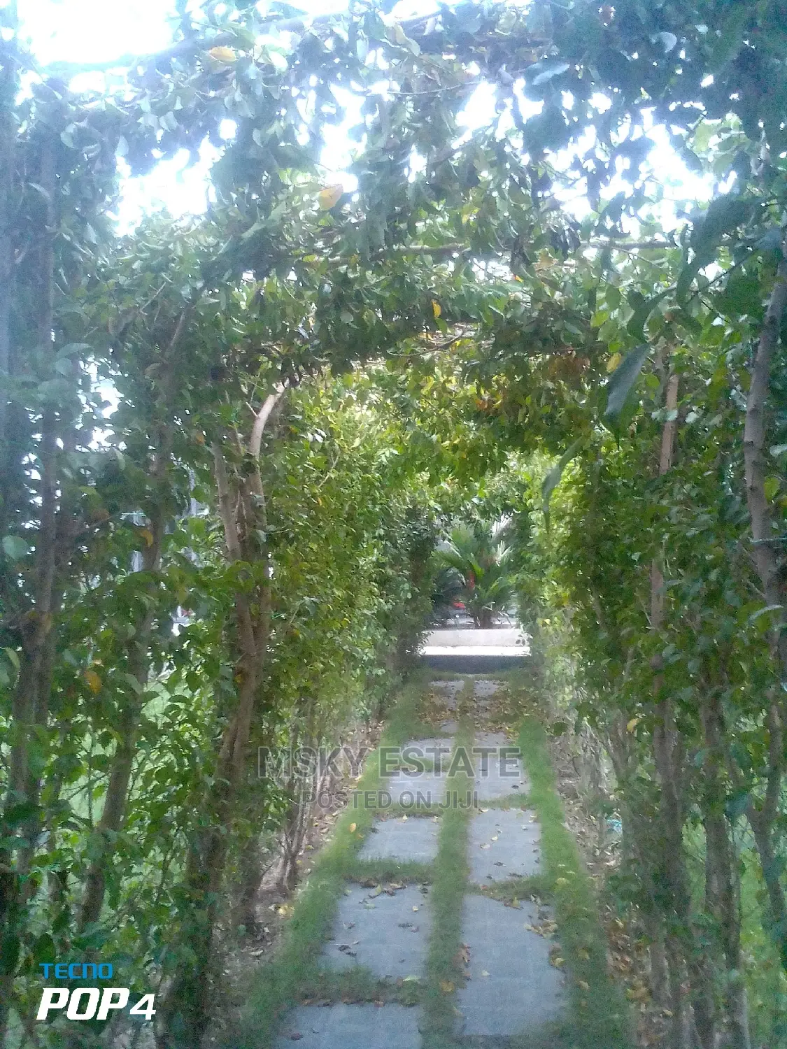 Garden Supplies