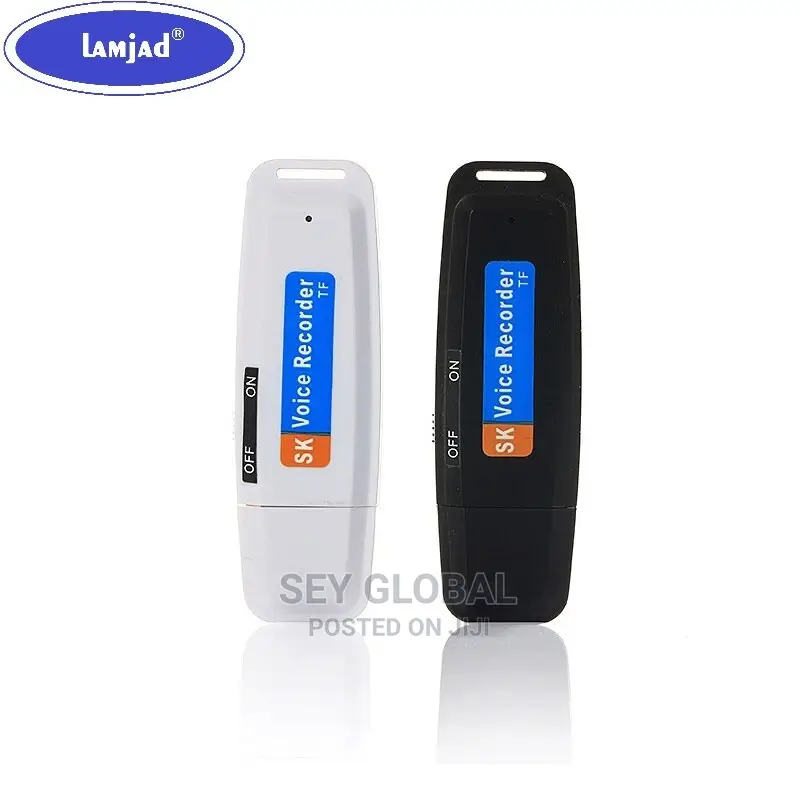 Sk-001 Viioce Portable Usb Disk Digital Audio Voice Recorde
