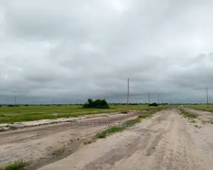 Residential Lands at Dwellys Court