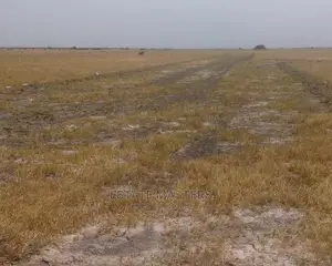 Acquire a Titled Land With Ease.