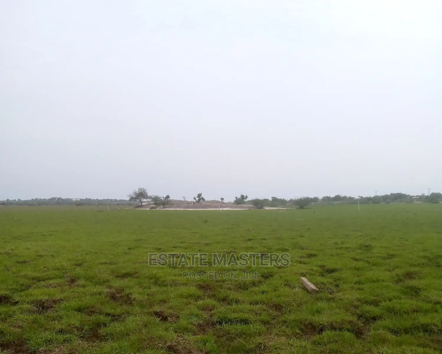 Very Authentic Lands: Affordable