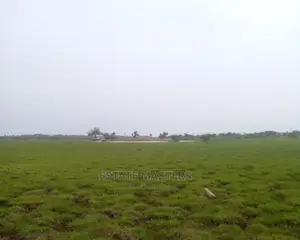 Very Authentic Lands: Affordable