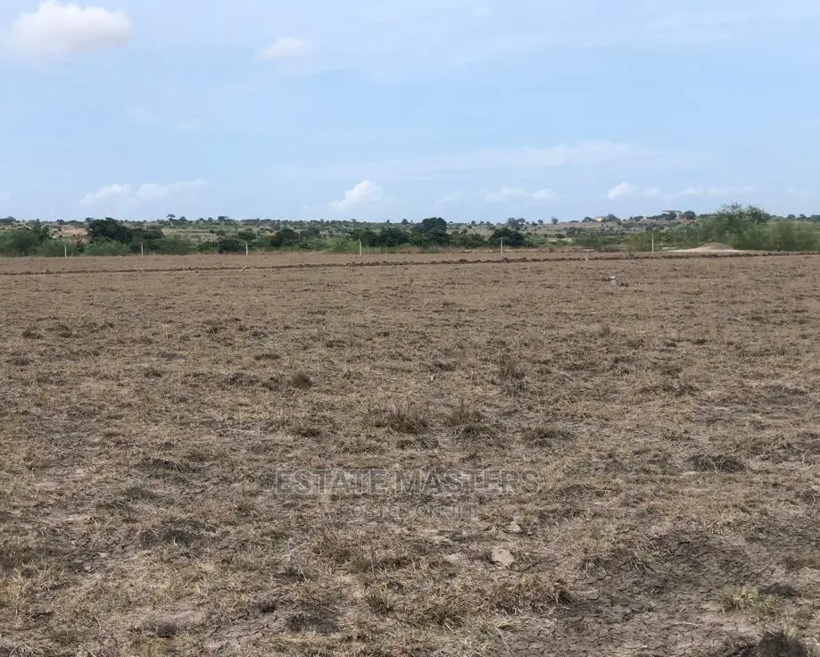 Massive Sales on Titled Lands .