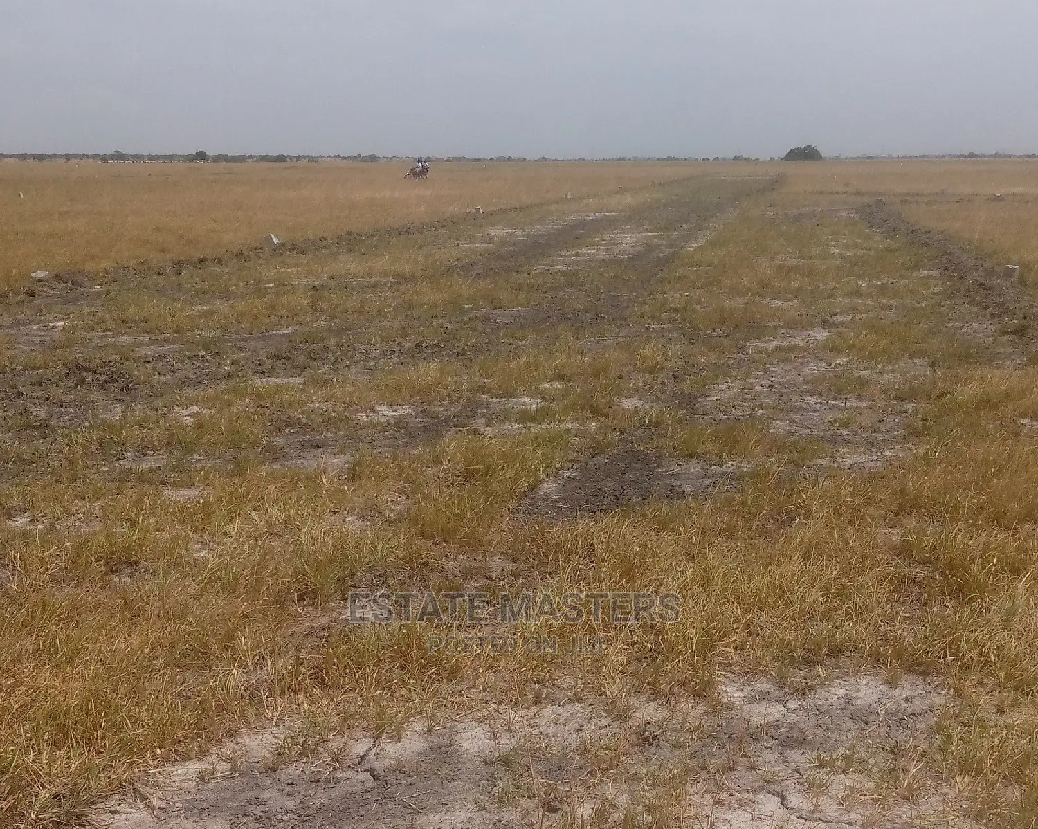 Massive Sales on Titled Lands .