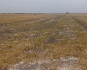 Massive Sales on Titled Lands .
