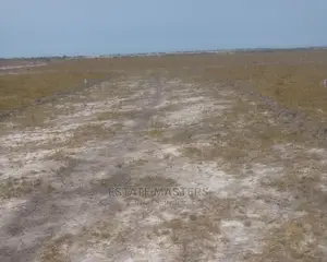 Lands With Title: Affordable