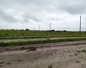 Amazing Serviced Plot of Land: Affordable