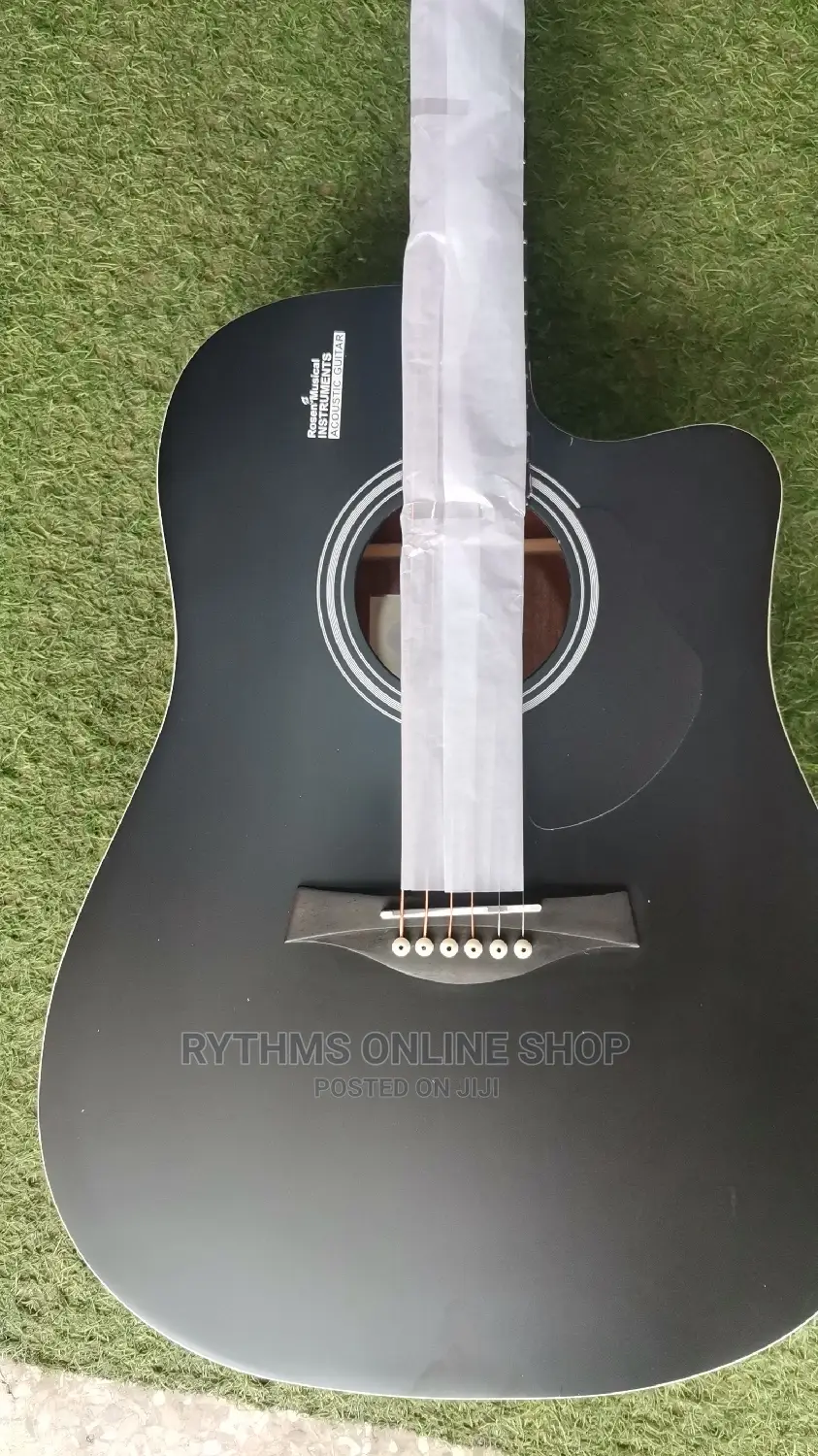 Acoustic Guitar(Rosen)
