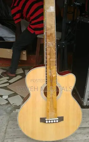 Photo - Givson Semi-Acoustic Bass Guitar