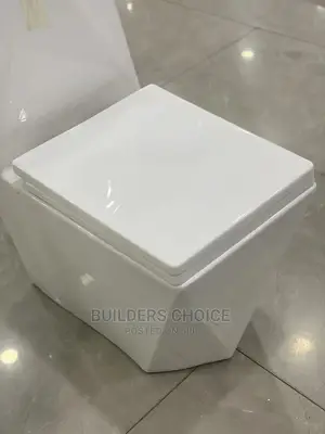 Grimy New High Flush_water Closet