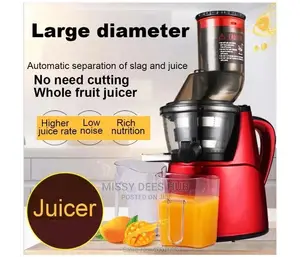 Cntronic Slow Juicer