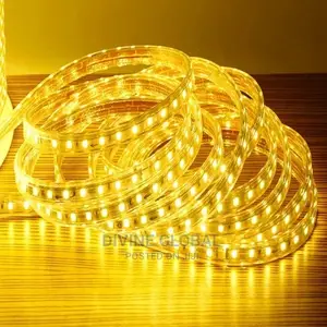 Warm LED Strip Rope Light 50 Meters