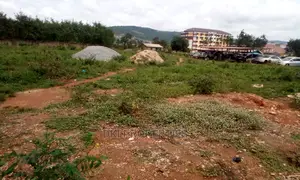 Titled Roadside Land For Sale At Amrahia