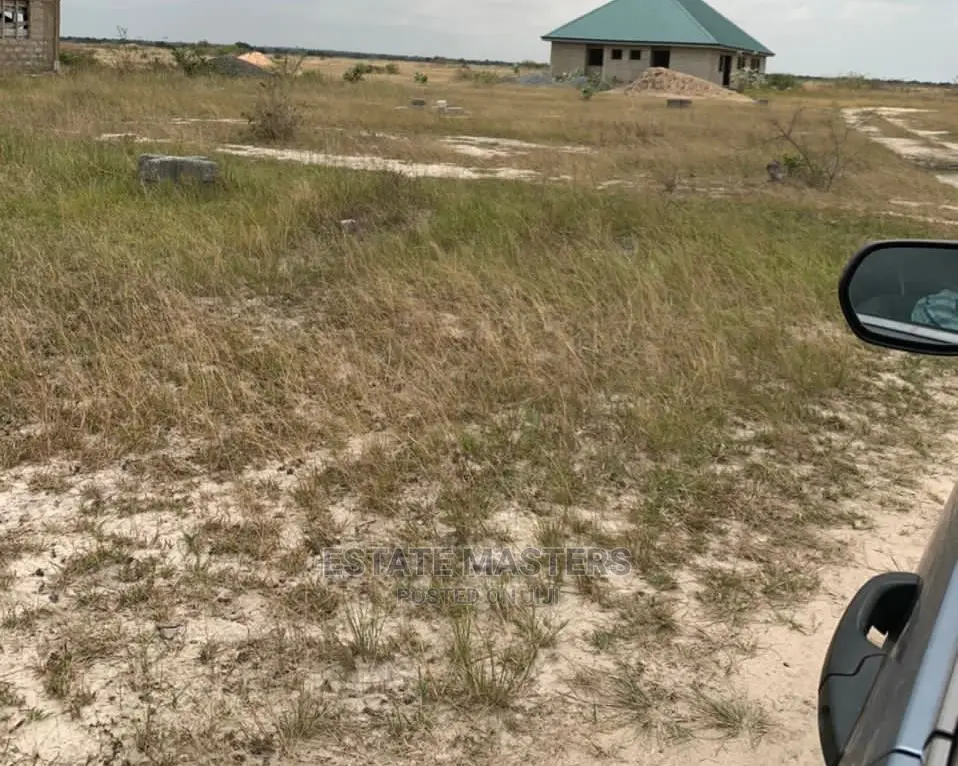 Flat Waterlogged Free Lands Available